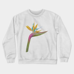 Bird of Paradise Crewneck Sweatshirt